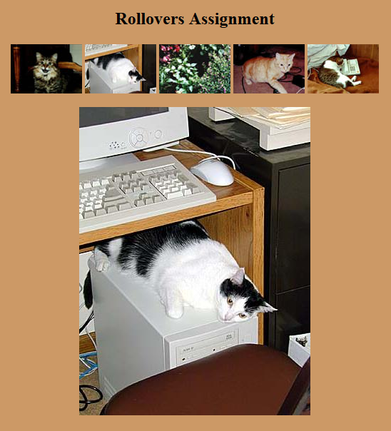 Rollovers assignment image