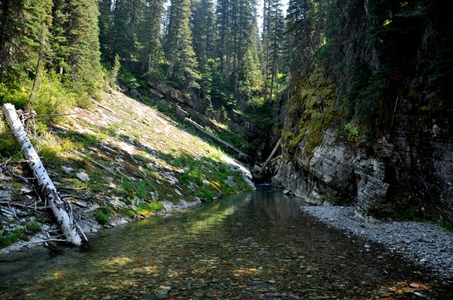 From suspension bridge, Grinnell Lake trail