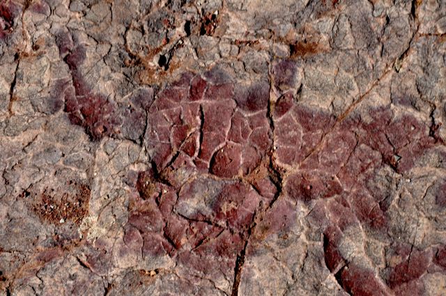 Cracked mud preserved in stone, Red Rock Canyon