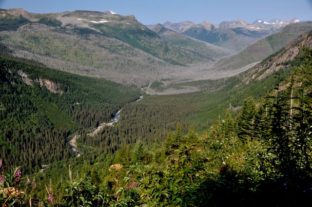 Valley view from Going-to-the-Sun Road