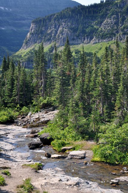 Stream east of Logan Pass