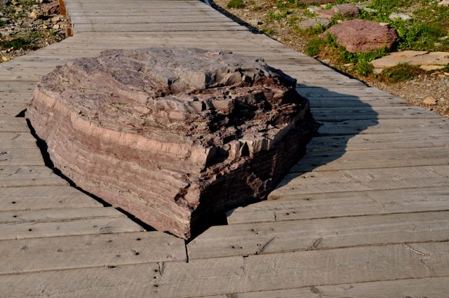 Boardwalk meets rock, Hidden Lake Trail