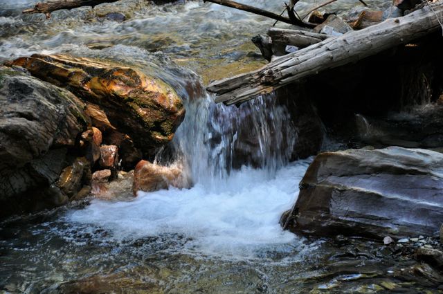 Avalanche Creek