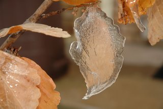 Ice molded by a leaf
