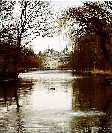 St. James Park, London