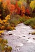 Fall color, Lower Tahquamenon Falls